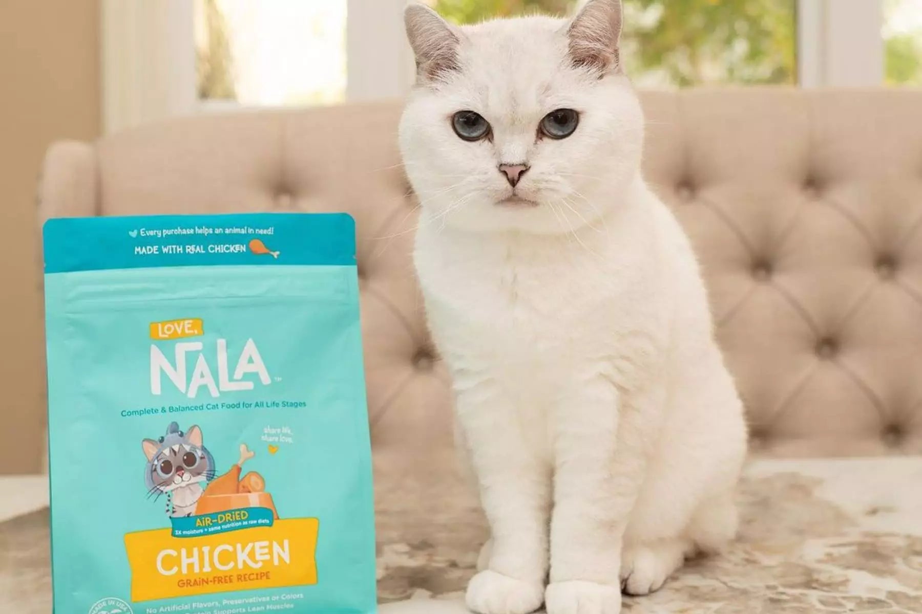 life-stage-dieting-for-cats-blog-love-nala