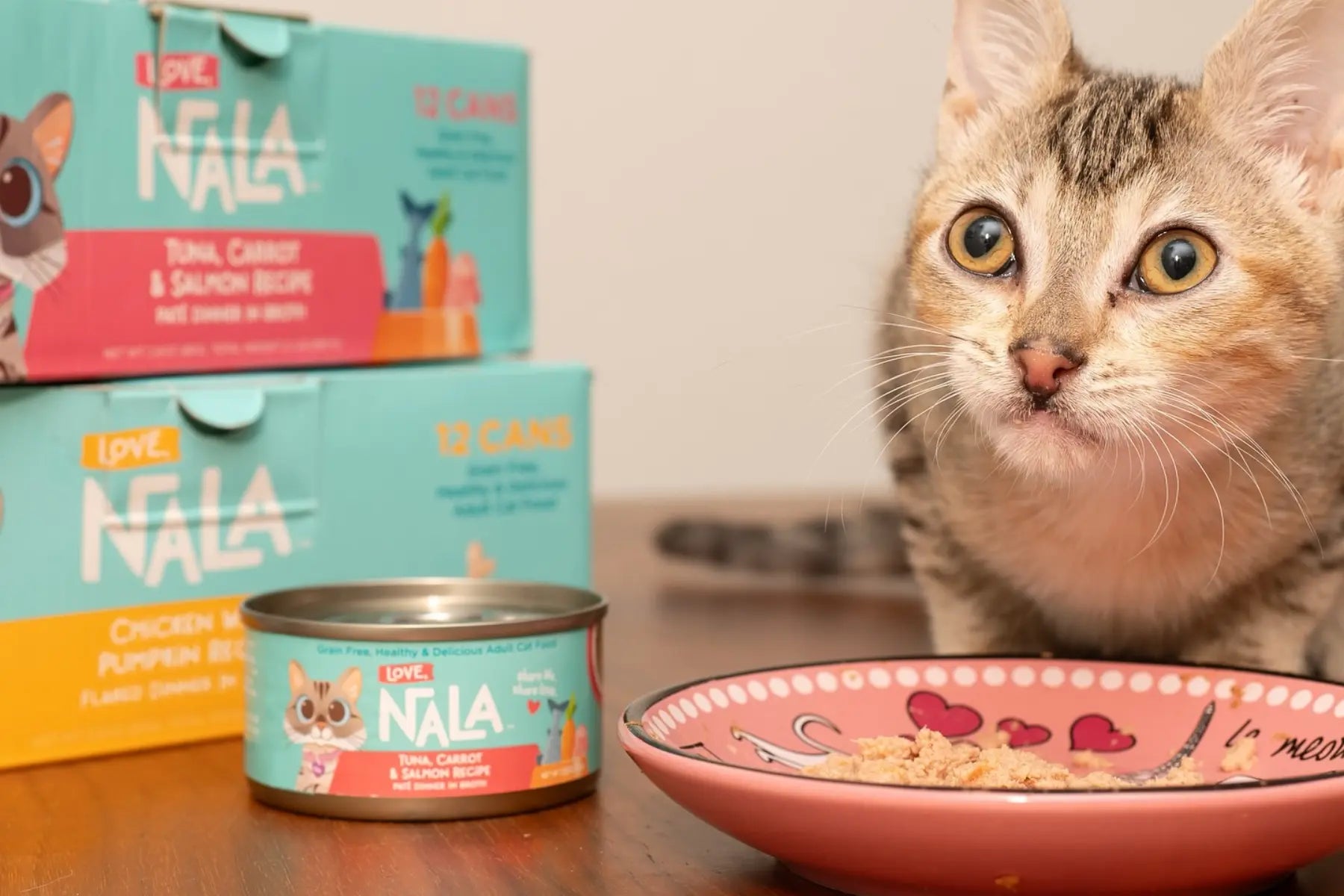 best canned cat food