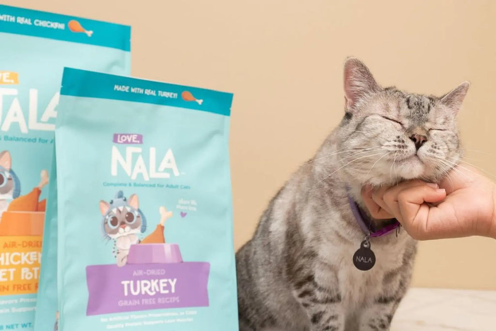 Hydrolyzed Protein A Solution for Cats with Allergies